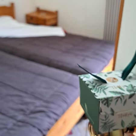 Apollon Inn Arachova Bilik gambar