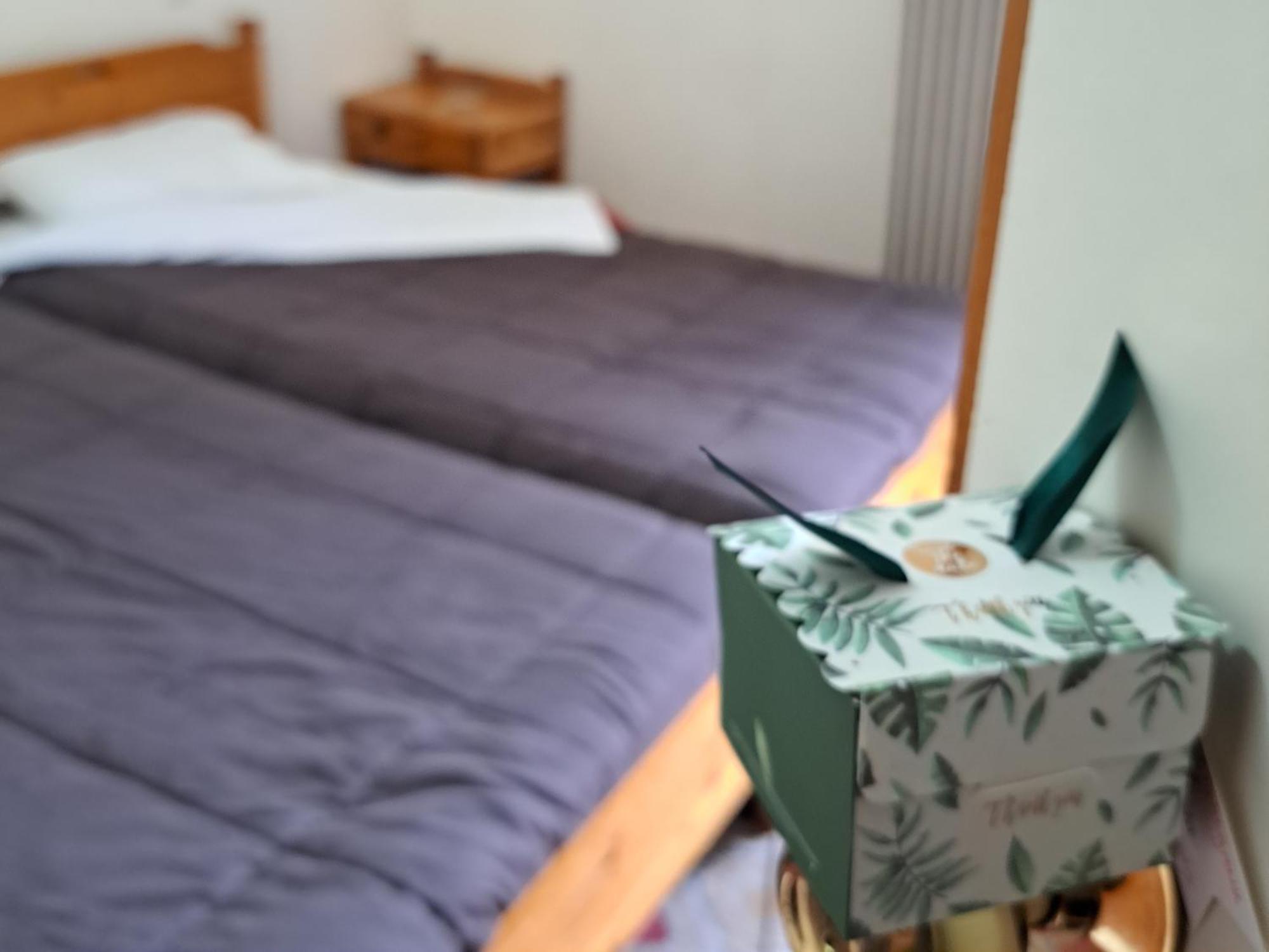 Apollon Inn Arachova Bilik gambar